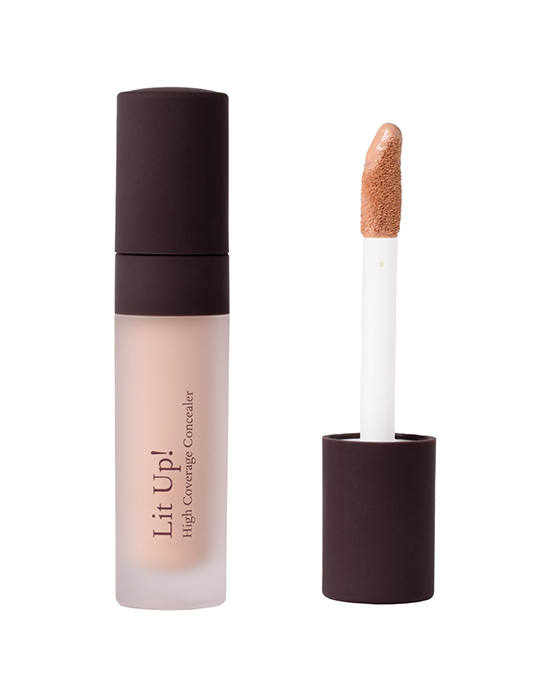 Lit Up! High Coverage Concealer