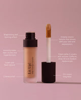 Lit Up! High Coverage Concealer